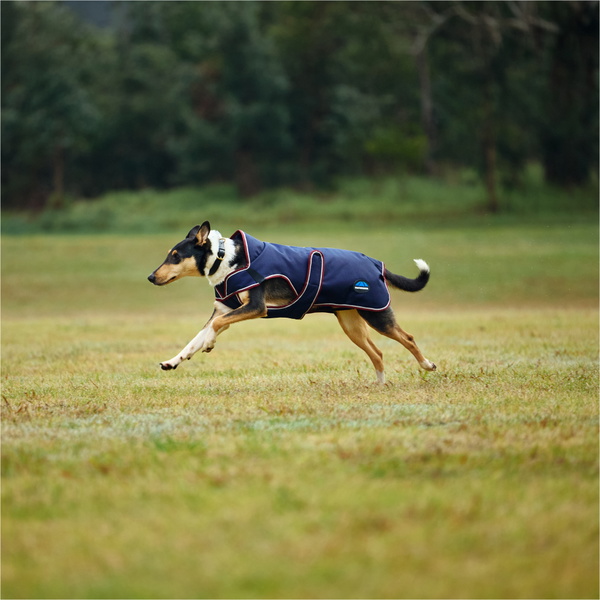 2025 Weatherbeeta Comfitec Premier Deluxe Waterproof Dog Coat 1028800 - Navy
